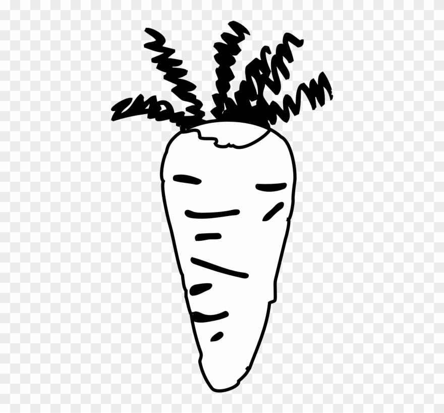 Carrot Clipart Black And White.