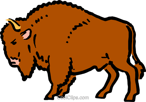 Cartoon buffalo Royalty Free Vector Clip Art illustration anim0584.