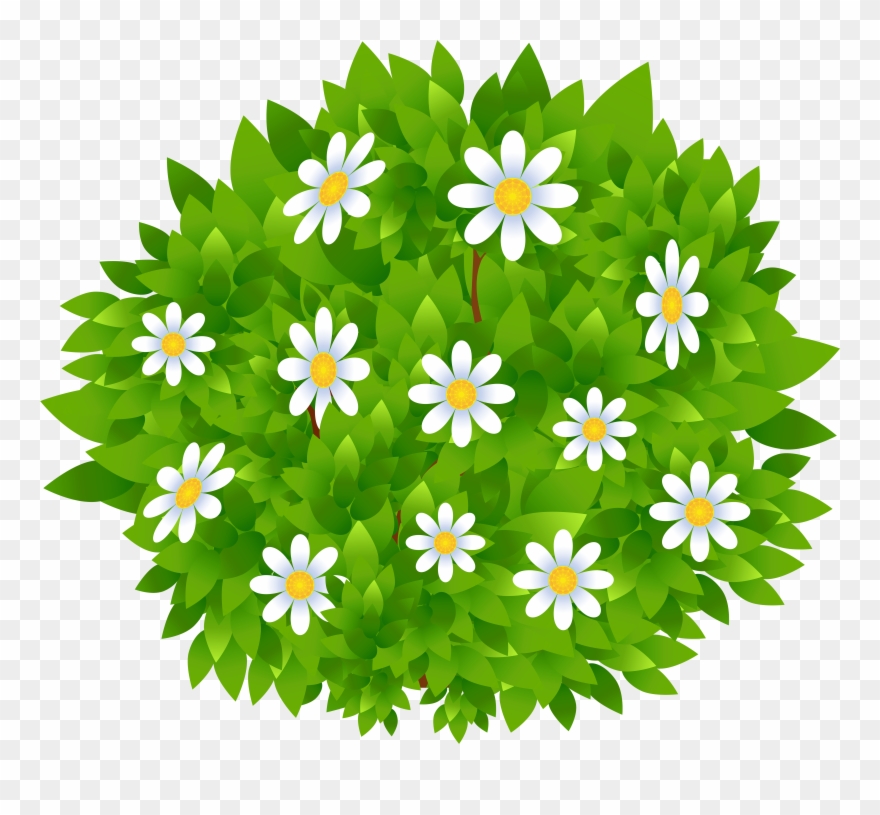 Transparent Background Bush Clipart.