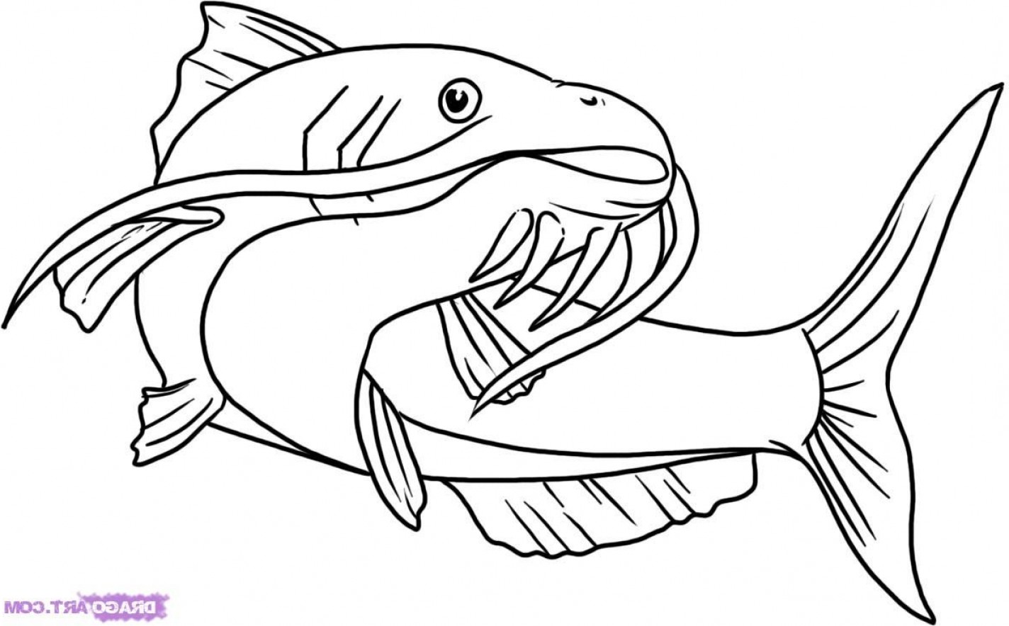 Cartoon Catfish Vector Id K Ud Um Ud Us Udx Uw Ud Uh Ud Clipart.