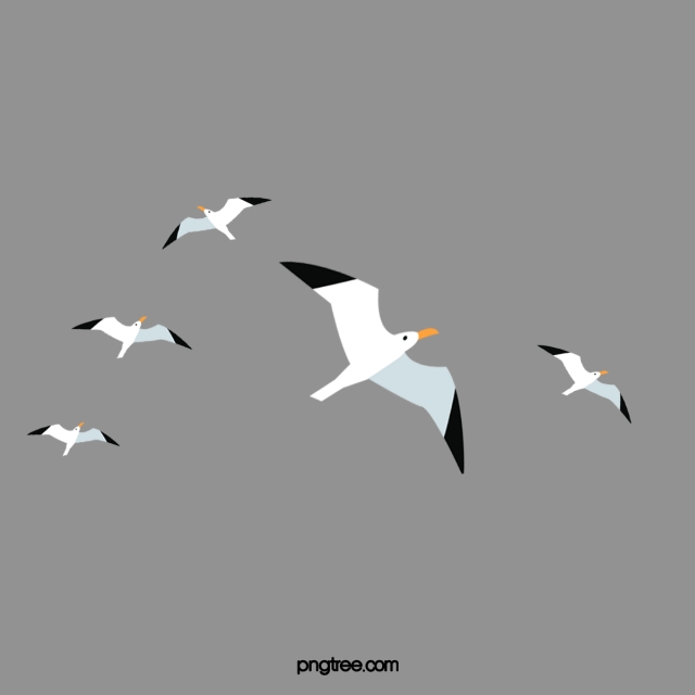 Flying Bird PNG Images.