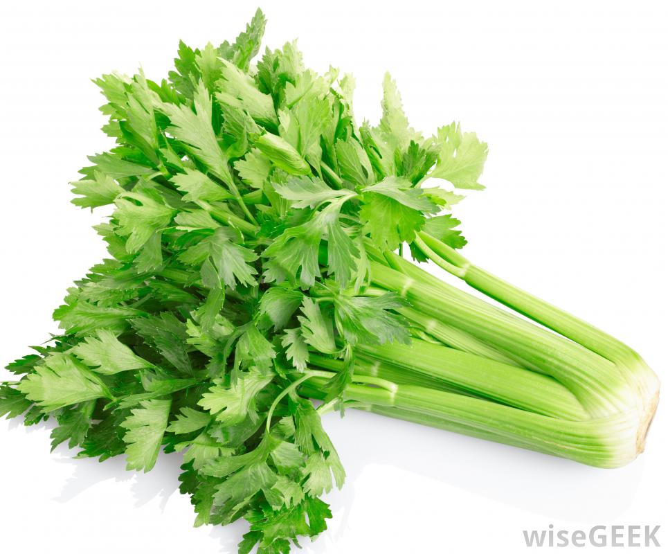 What is Celery? (with pictures).