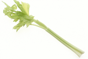 Celery Clip Art Download.