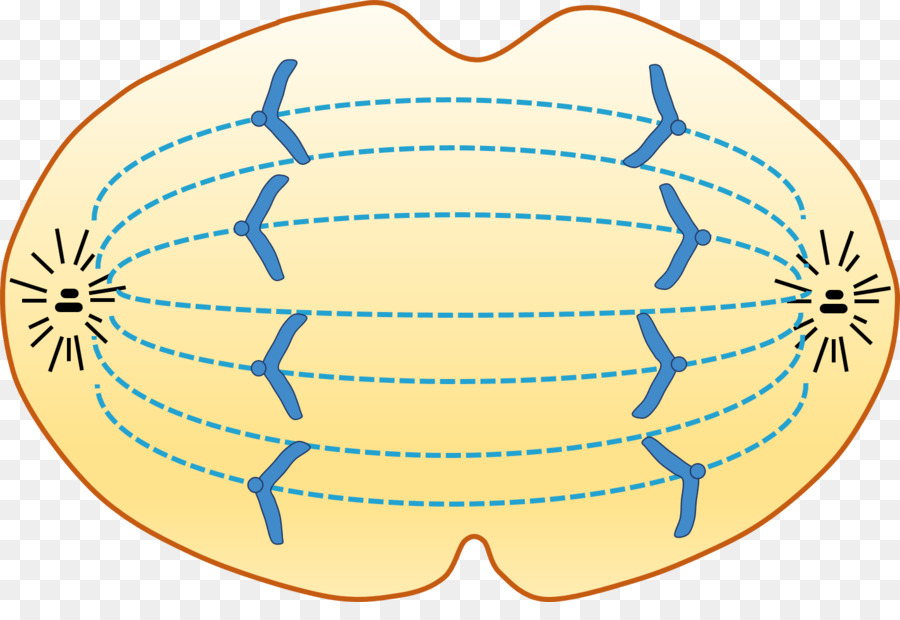 Circle Design clipart.