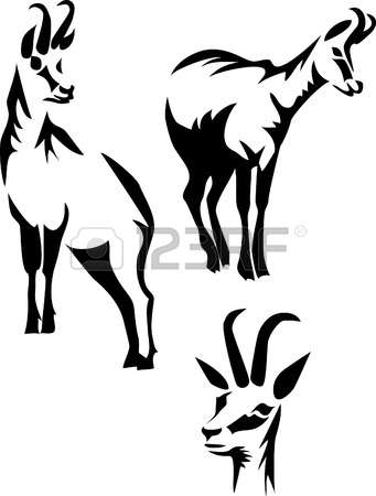 304 Chamois Stock Vector Illustration And Royalty Free Chamois Clipart.