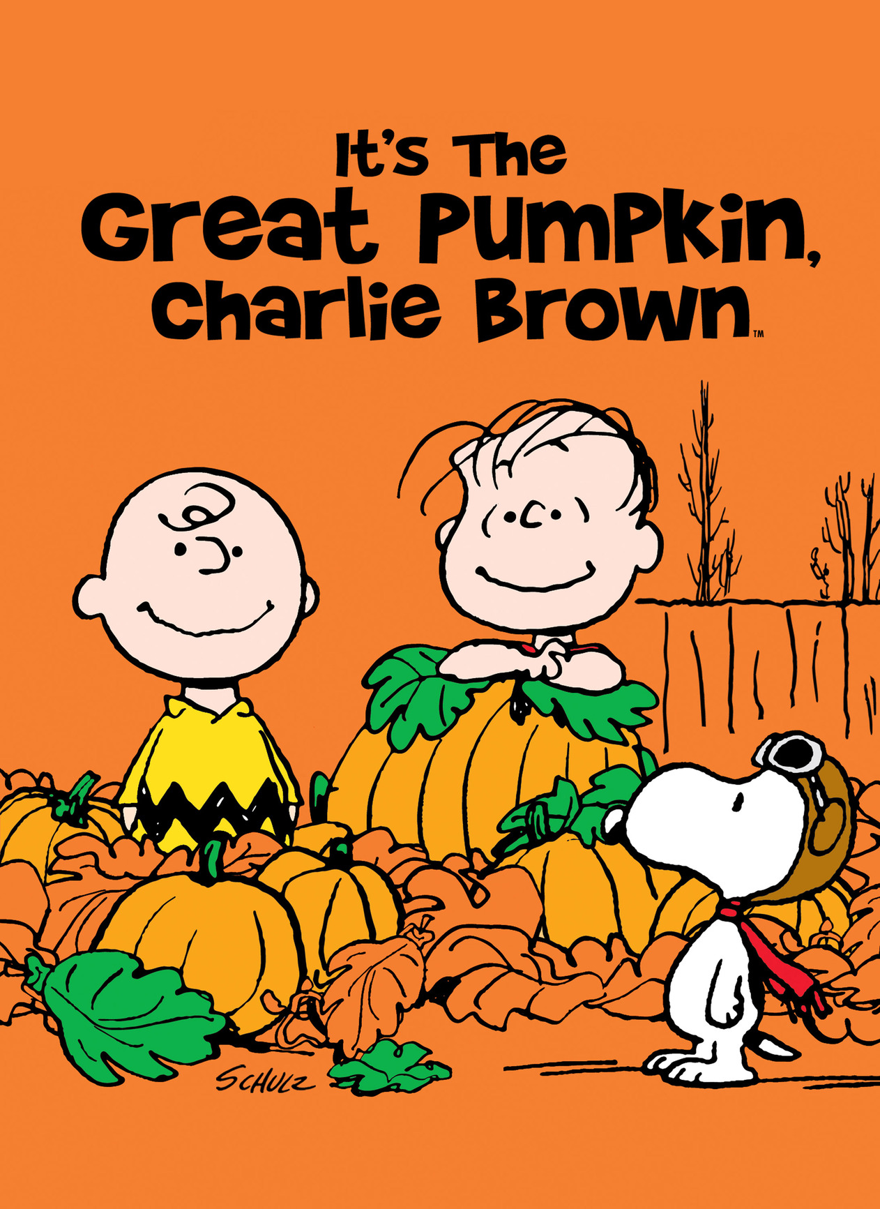 Halloween Countdown: 'It's the Great Pumpkin, Charlie Brown.