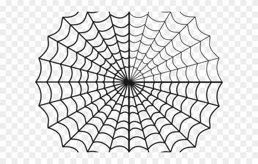 Drawn Spider Web Circle.