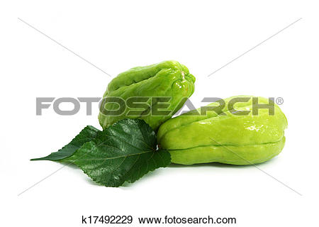 Stock Photograph of Chayote Squash On White Background k17492229.