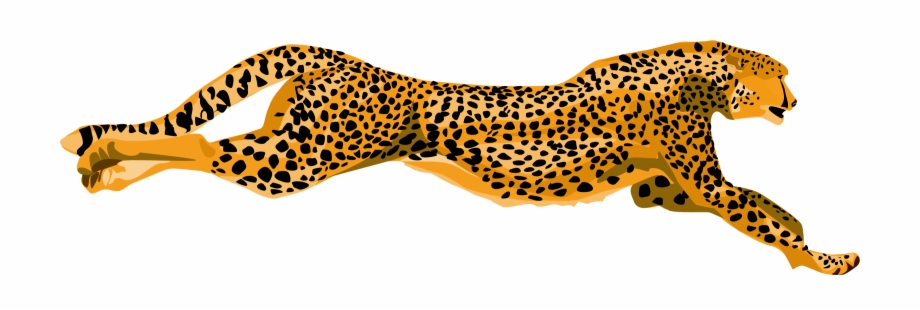 Cheetah Png.