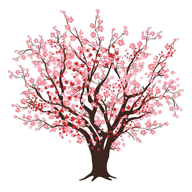 Cherry blossom tree clipart 6 » Clipart Station.