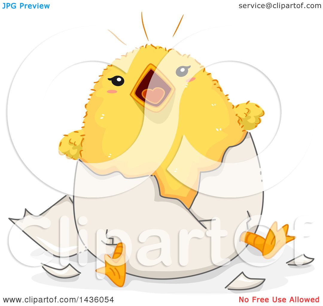 Clipart of a Noisy Chick Hatching from an Egg.