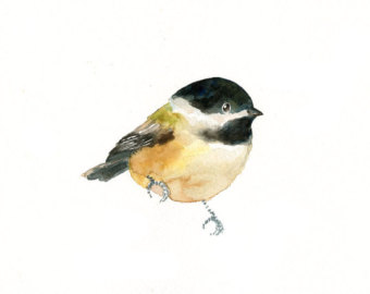 Free Chickadee Cliparts, Download Free Clip Art, Free Clip.