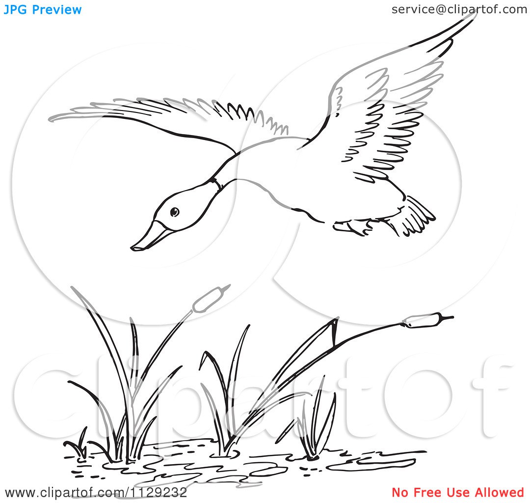 duck pond coloring pages coloring pages. file a3 southern painted.