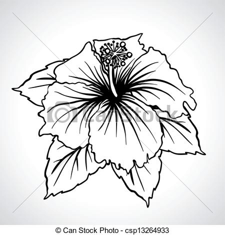 China rose clipart.