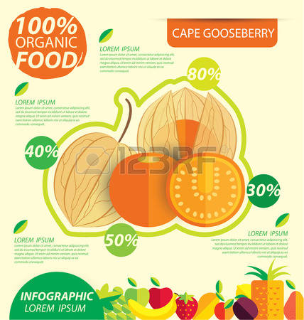 85 Cape Gooseberry Stock Illustrations, Cliparts And Royalty Free.