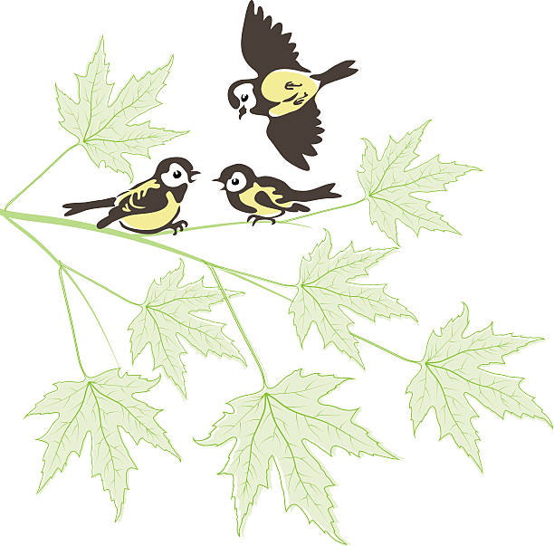 Chinese Maple Tree Cartoons Clip Art, Vector Images.