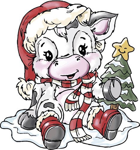 Christmas Cow Pictures.