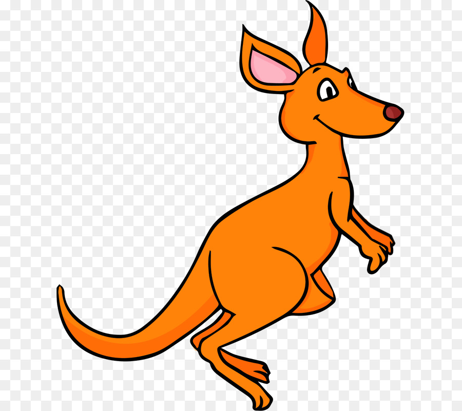 Koala Cartoon clipart.