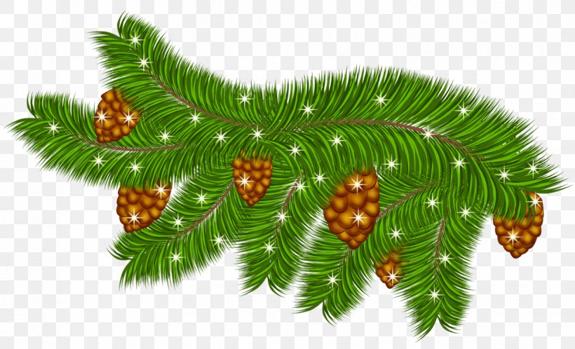 Pine Branch Clip Art, PNG, 1226x746px, Pine, Branch.