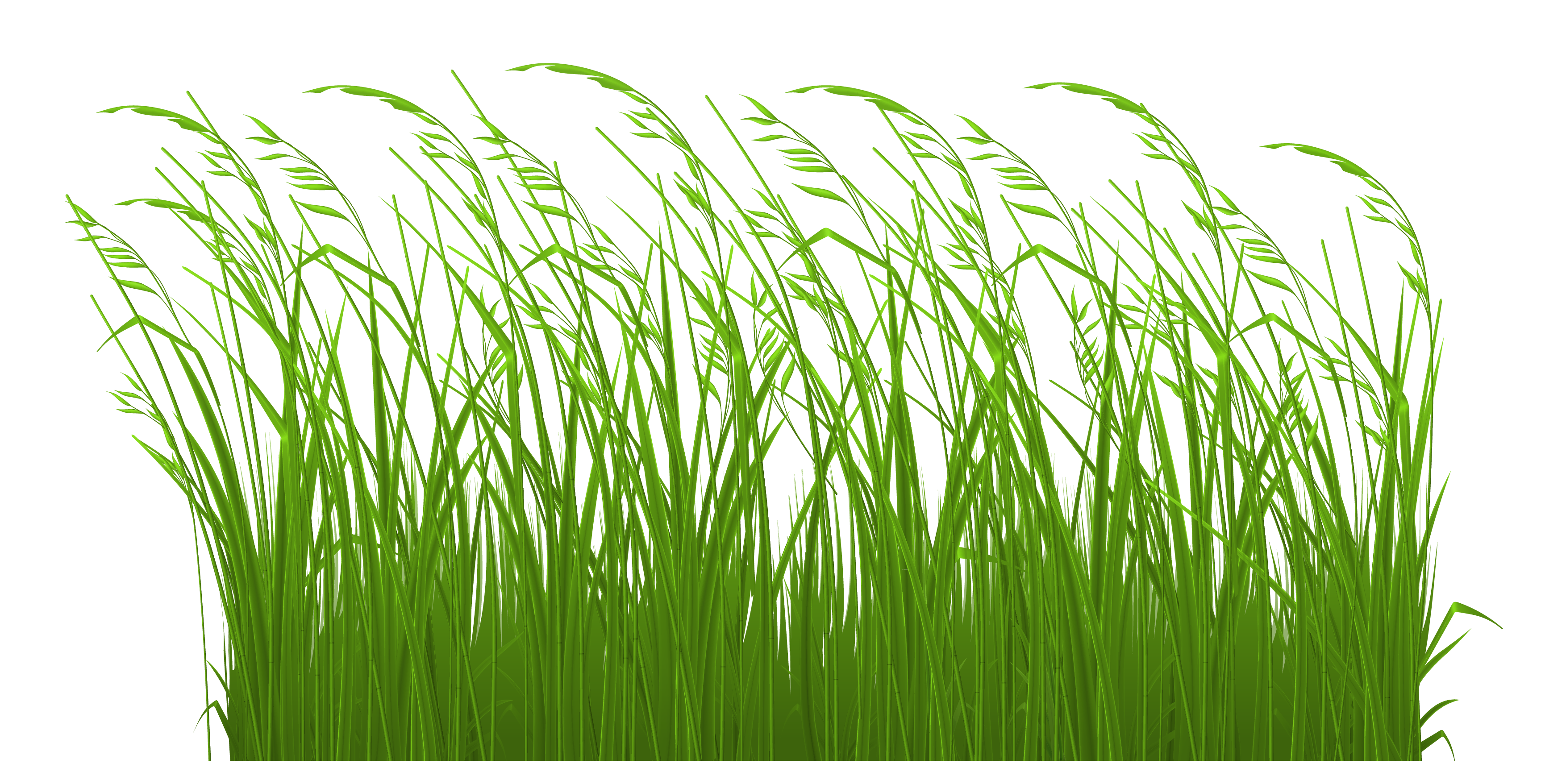 Grass Clipart & Grass Clip Art Images.