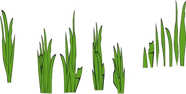 Grass Blades And Clumps clip art Free vector in Open office.