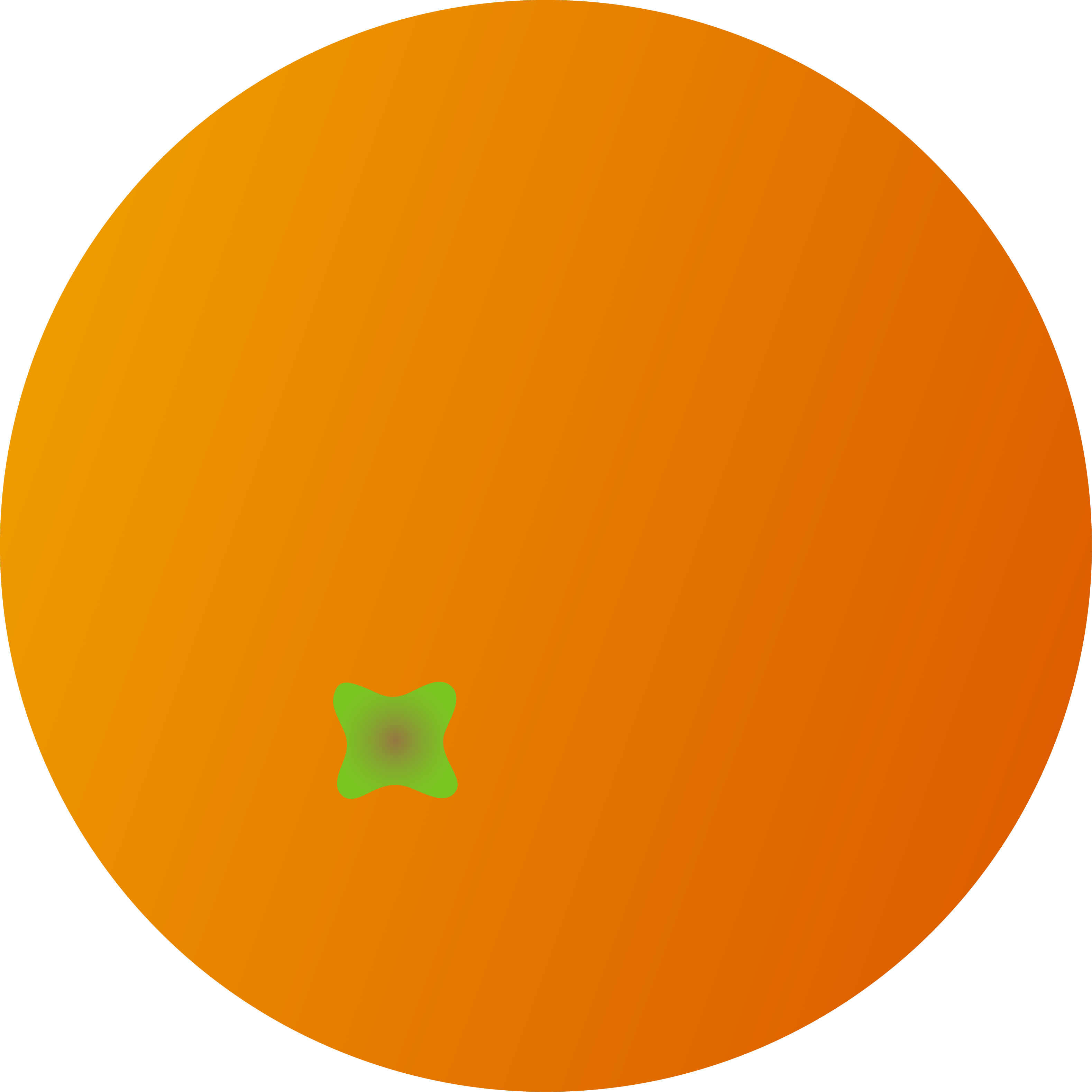 Whole Round Orange Fruit.