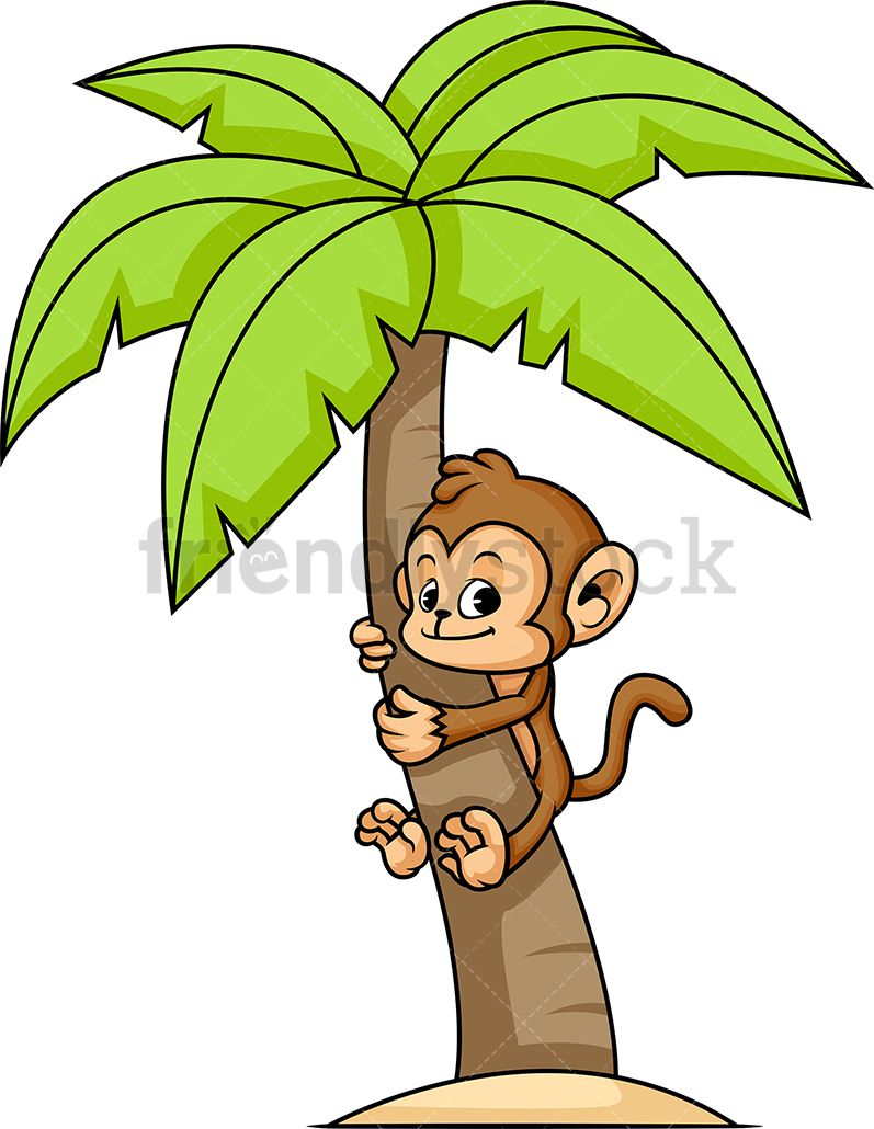 Monkey Climbing Palm Tree.