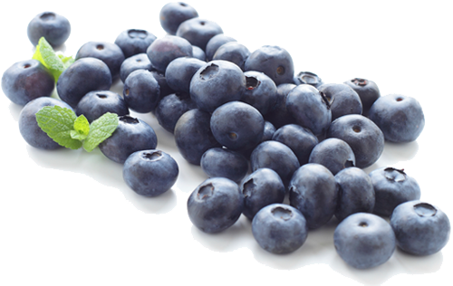 Download Blueberry PNG Clipart 077.