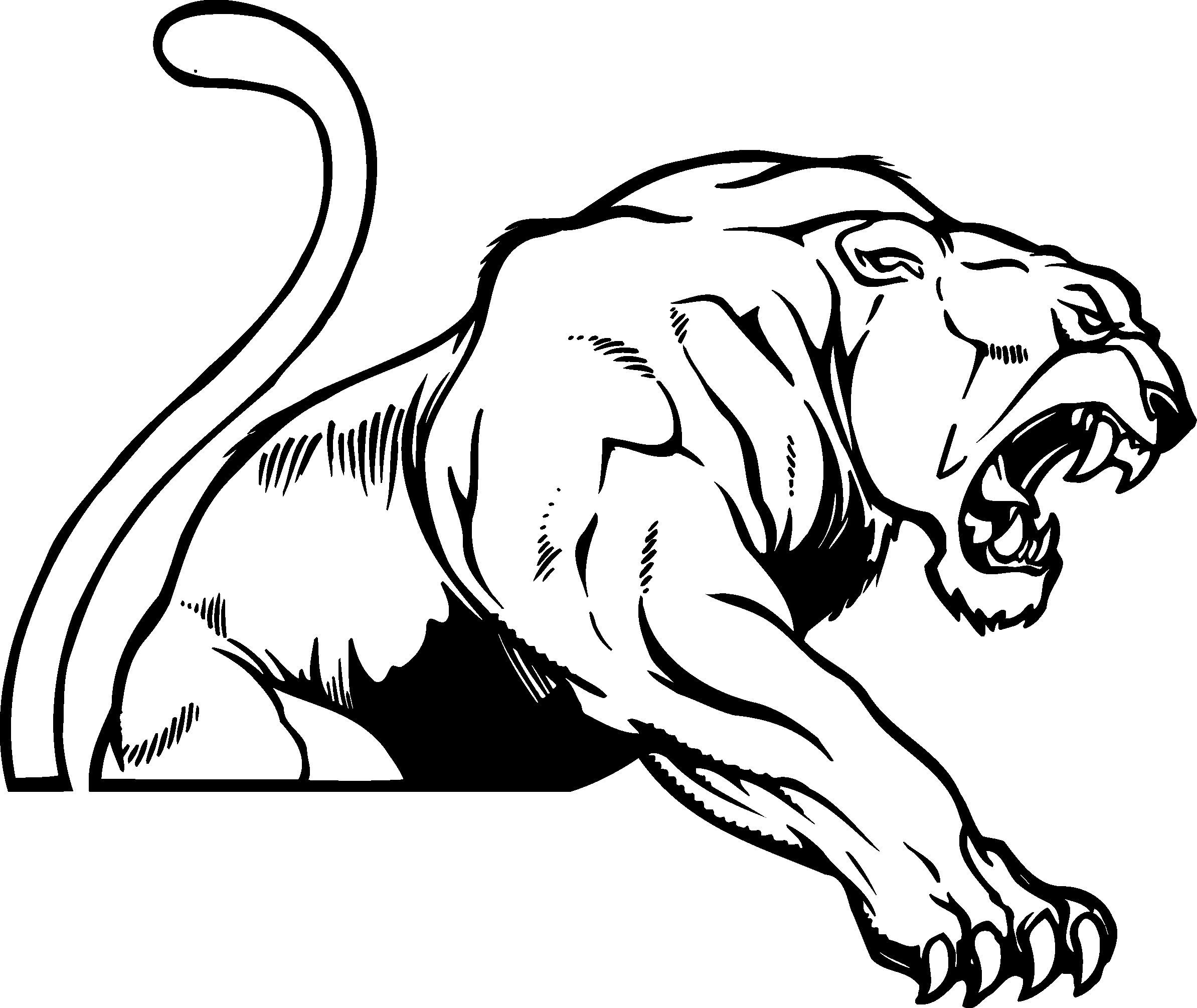 Black panther LOGO.