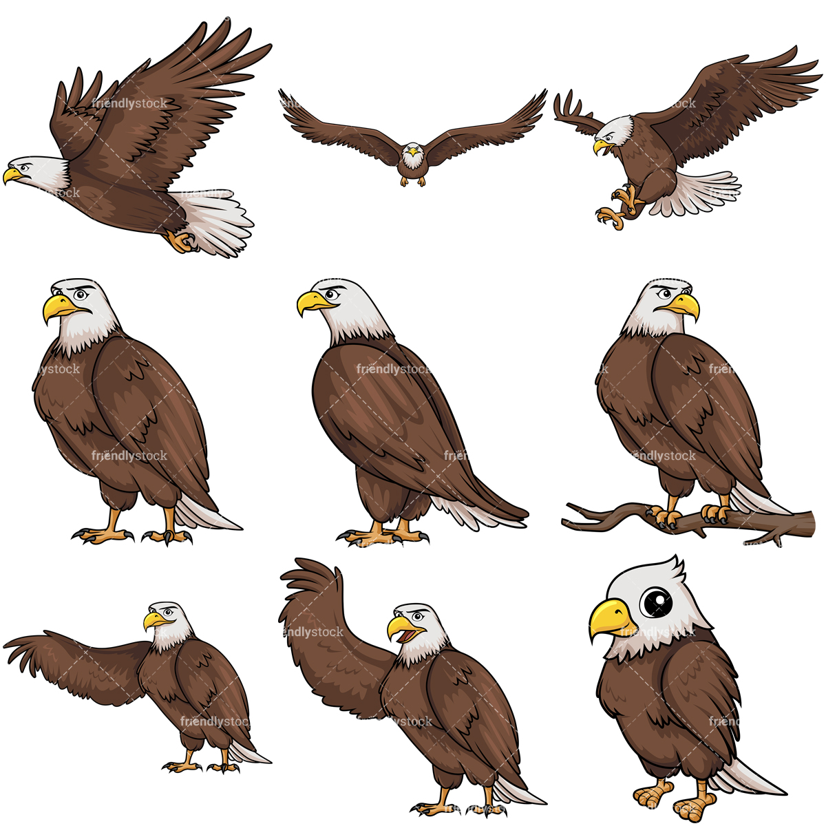 Bald Eagle Collection.