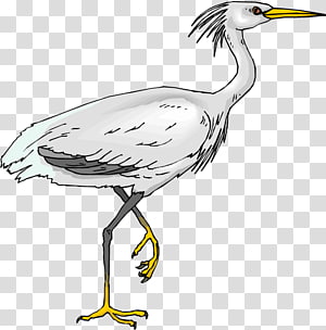 White crane, Bird Crane, Egret Bird transparent background PNG.