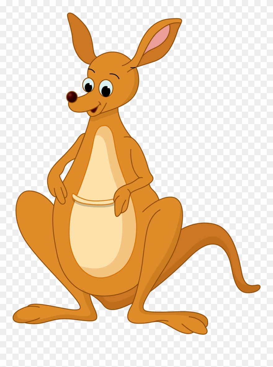 Kangaroo Clipart Australian Wildlife.