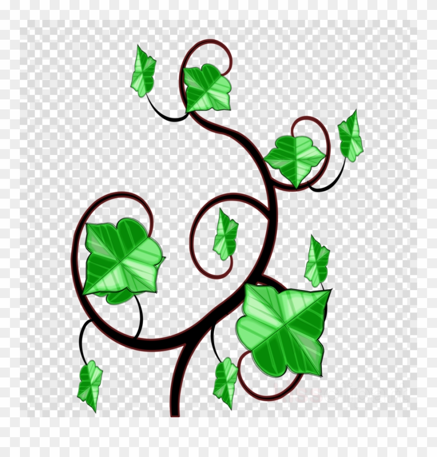 Ivy Clipart Clip Art.