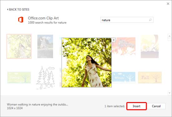Insert Picture from the Office ClipArt Collection in PowerPoint 2013.
