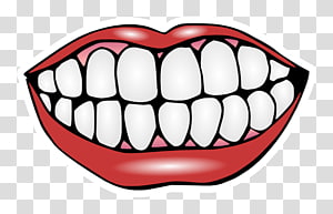 Mouth smile transparent background PNG clipart.