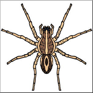 Clip Art: Spiders: Wolf Spider Color I abcteach.com.