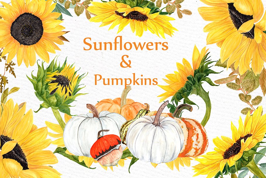 Watercolor Sunflower clipart ~ Illustrations ~ Creative Market.