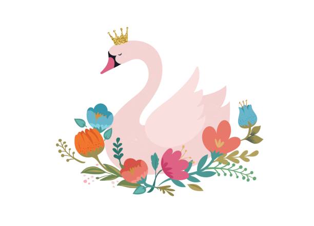 Best Swan Illustrations, Royalty.