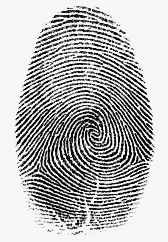 Fingerprint PNG, Clipart, Along, Along With Fingerprints.