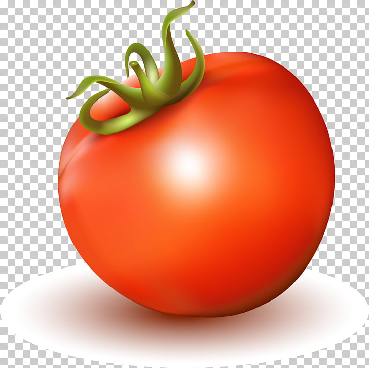 Tomato juice Tomato soup, realistic tomato PNG clipart.