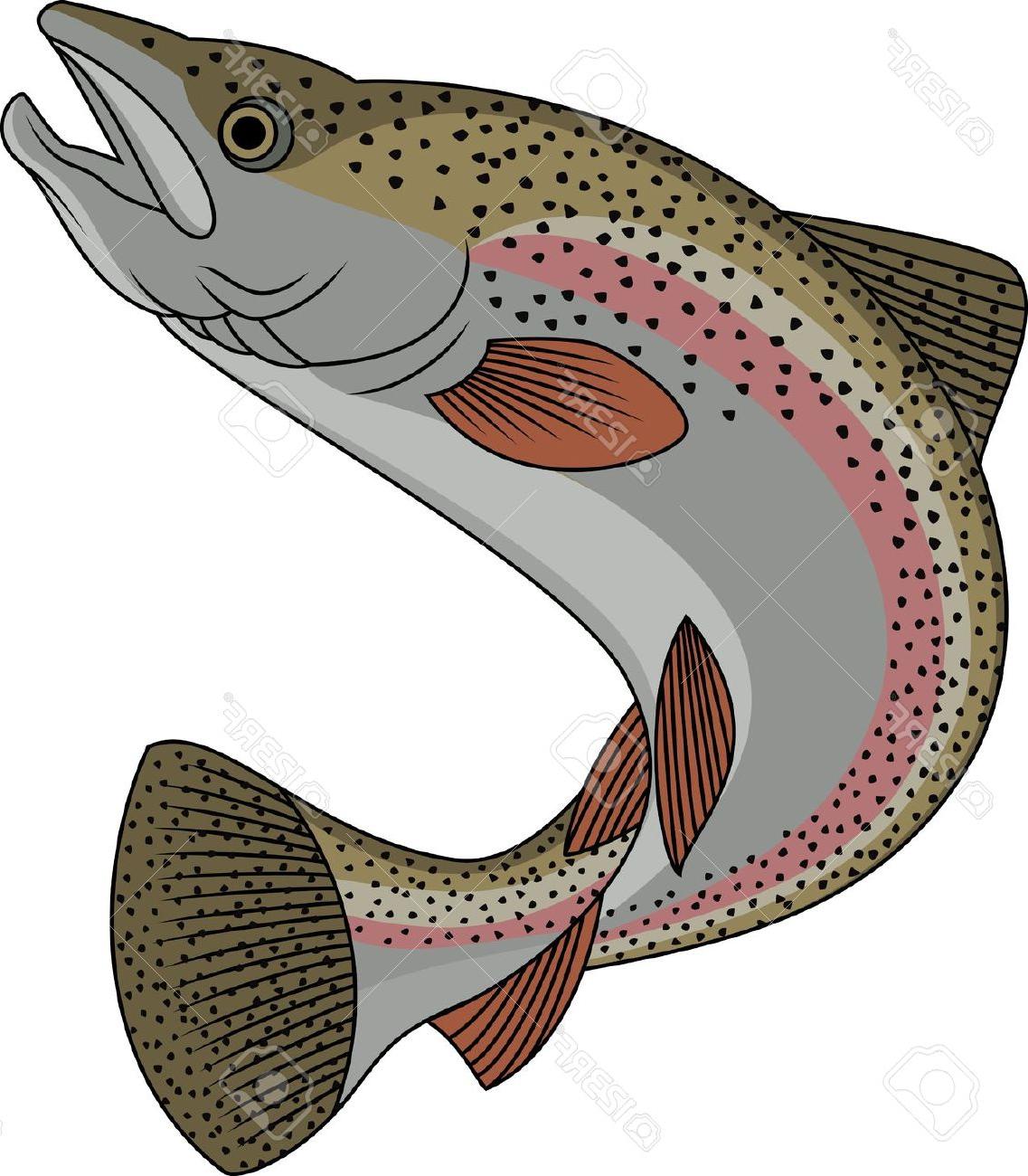 324 Trout free clipart.