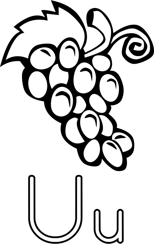 Free Clipart: Letra U de uvas.