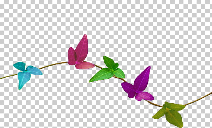 Vine Nature Desktop , home decorations PNG clipart.