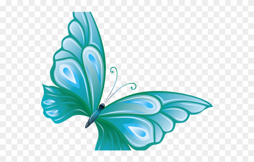 Turquoise Clipart Transparent Background.