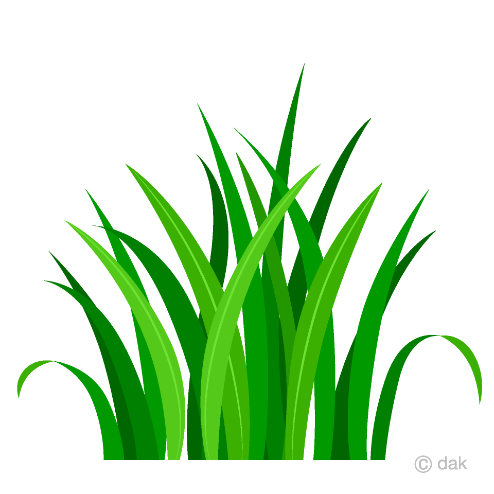 Free Bush Clipart Image｜Illustoon.