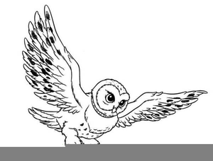 Barn Owl Clipart.