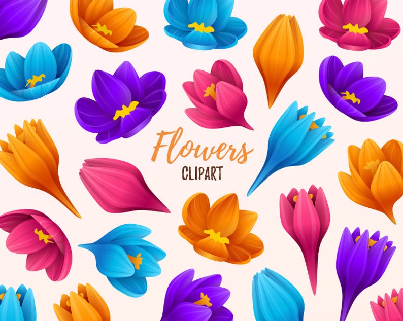 Flowers clipart. Floral clip art. Beautiful flowers, spring colorful  flowers clipart. Vector graphic..