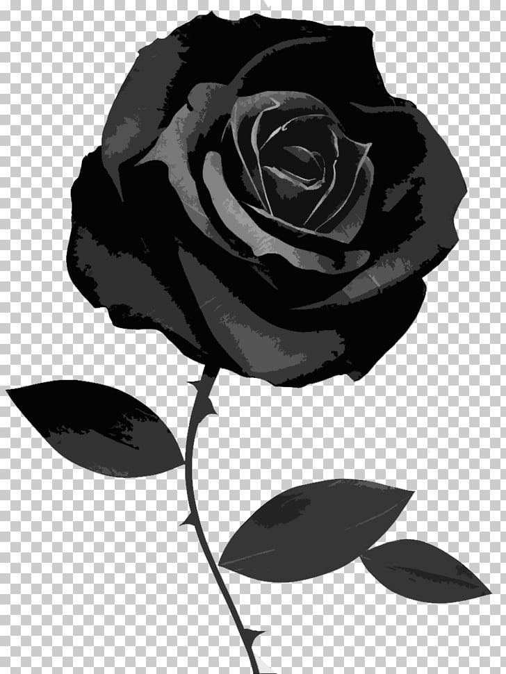 Black rose Desktop Symbol, black rose, black rose.