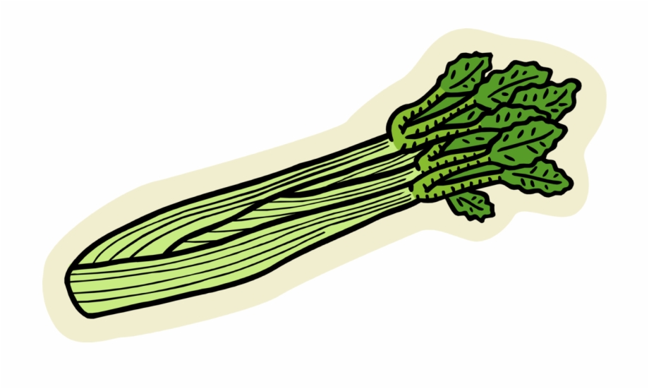 Vector Illustration Of Edible Vegetable Celery Stalk Clipart.