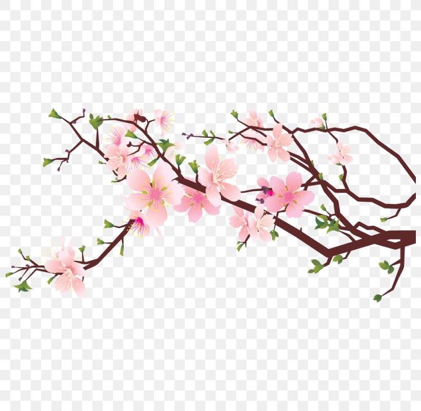 Cherry Blossom Clip Art Image Drawing, PNG, 800x800px.